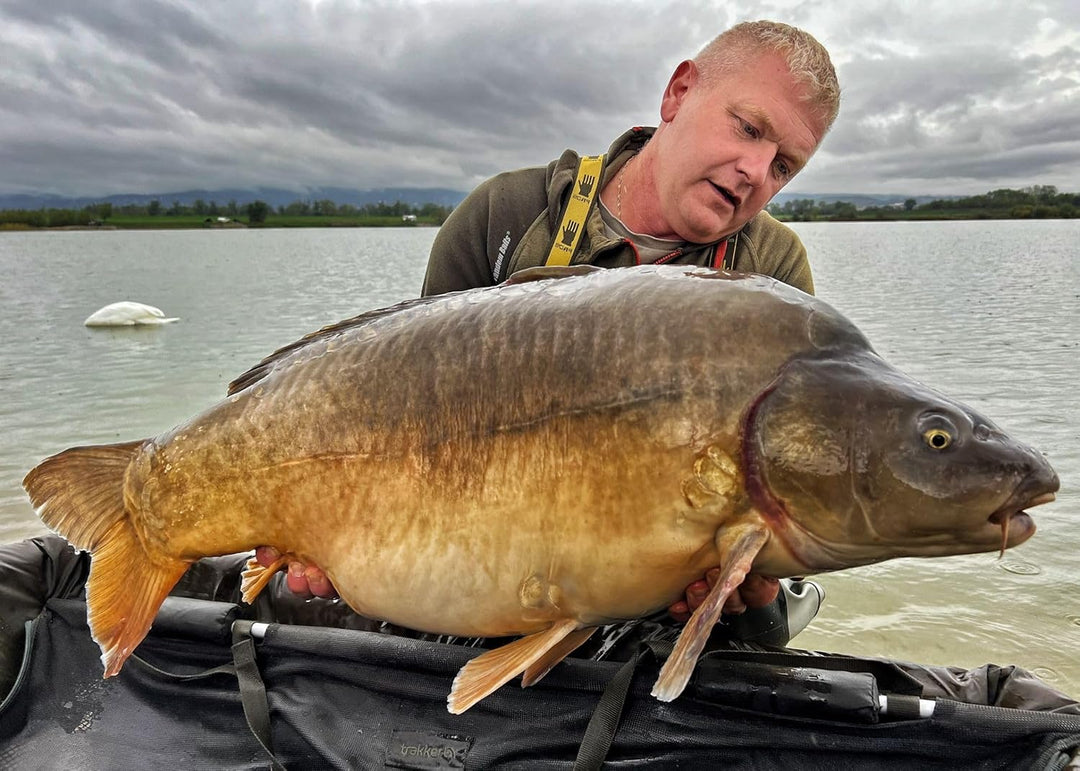 Tandem Baits Karpfen Futter Angelfutter Pop Ups Boilies Zig Rig Chod Rig Hakenköder Carp Food Perfec