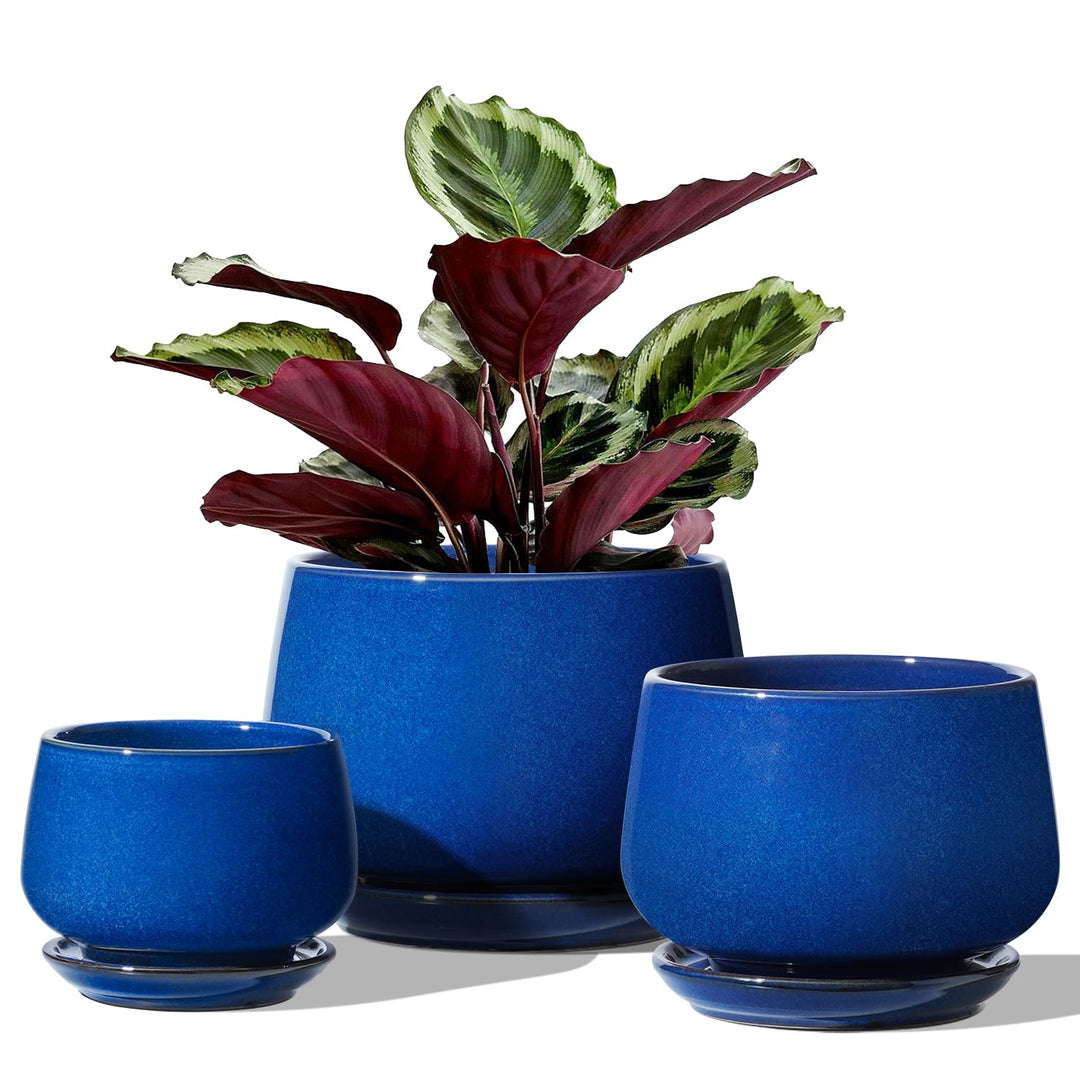 LE TAUCI 3er Pack Keramik Blumentopf, 10+13+16 cm Durchmesser Klein Töpfe Set, übertöpfe für Zimmerp