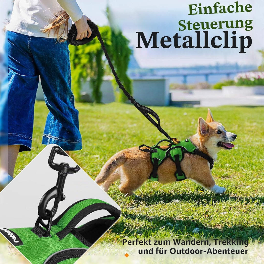 rabbitgoo Ausbruchsichere Hundegeschirr Kleine Hunde mit Griff, Anti Zug Sicherheitsgeschirr Hund At