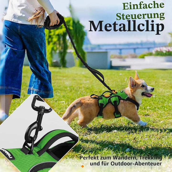 rabbitgoo Ausbruchsichere Hundegeschirr Kleine Hunde mit Griff, Anti Zug Sicherheitsgeschirr Hund At