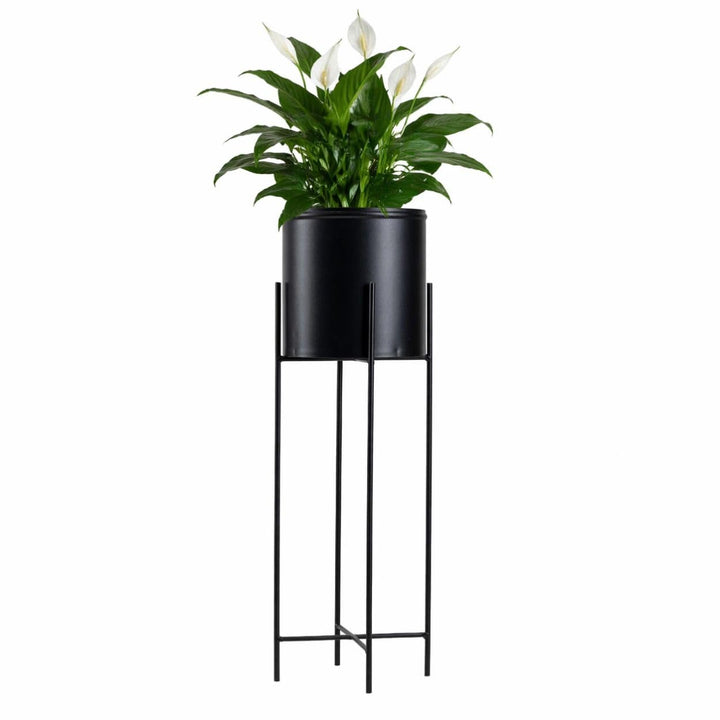 Moderne Blumenständer Metall 75 cm Hoch mit Schwarz Blumentopf Rund 21 cm Ø auf Robuste Ständer - Pf
