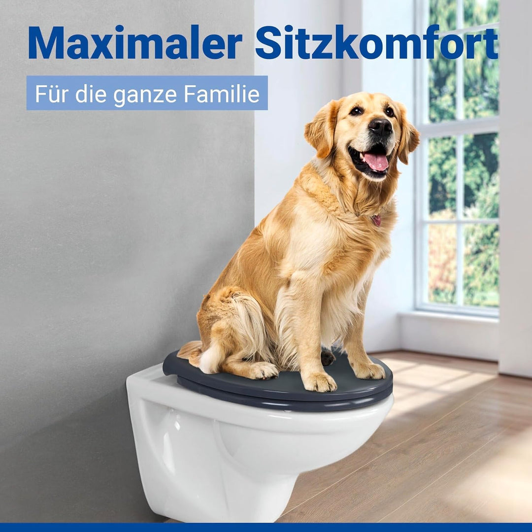 WENKO WC-Sitz Samos Grau, hygienischer Toilettensitz mit Absenkautomatik, mit Fix-Clip Hygiene-Befes