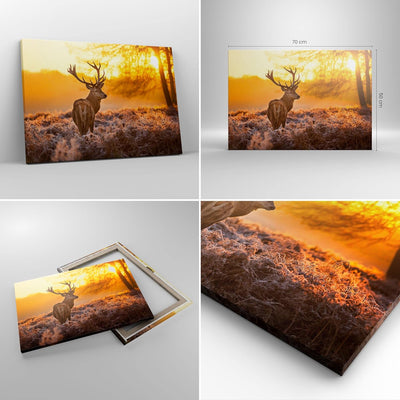 Bilder auf Leinwand Herbst landschaft natur blatt Leinwandbild 70x50cm Wandbilder Dekoration Wohnzim