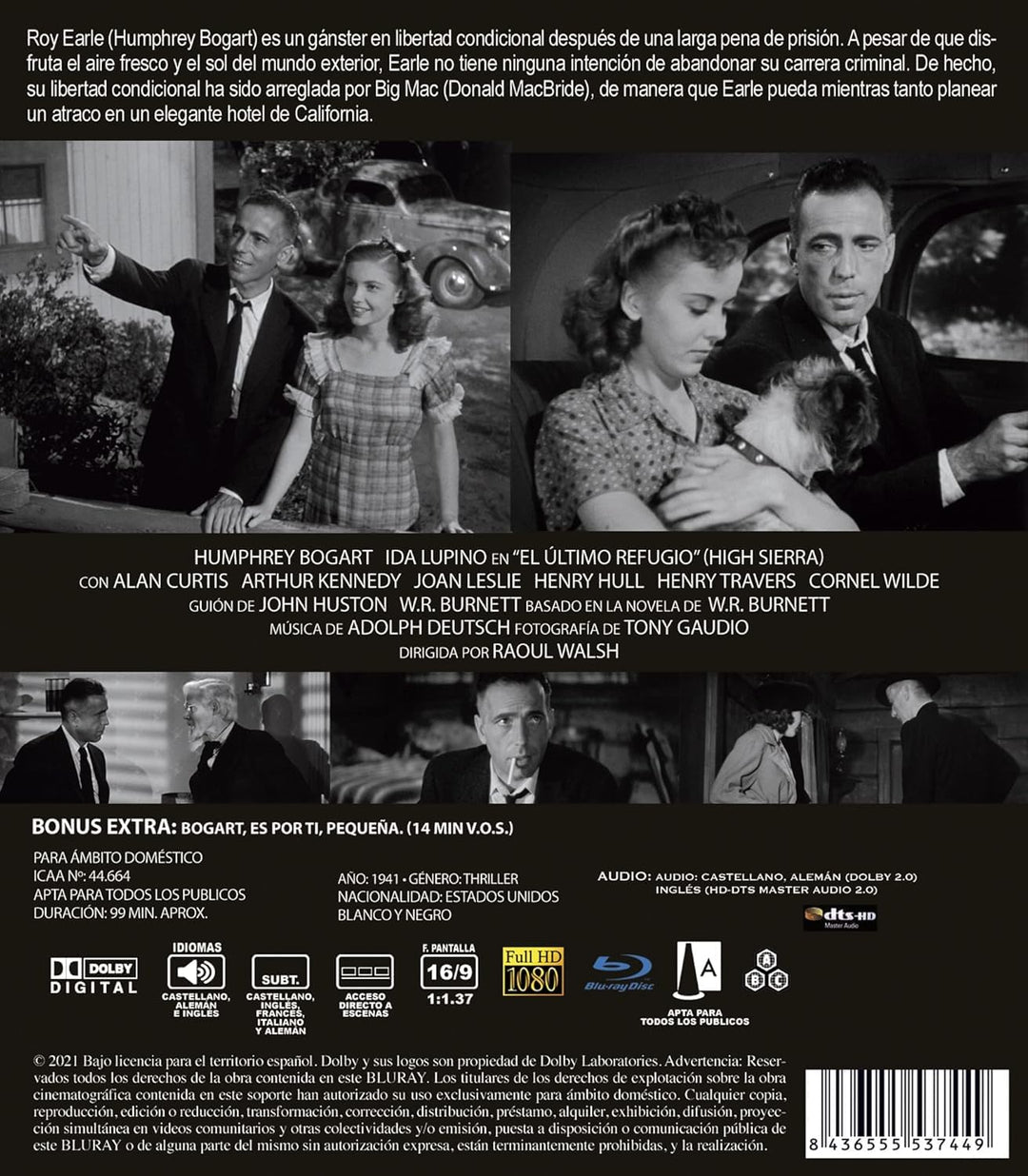 Entscheidung in der Sierra (1941) Blu Ray mit deutschem Ton, Blu-ray