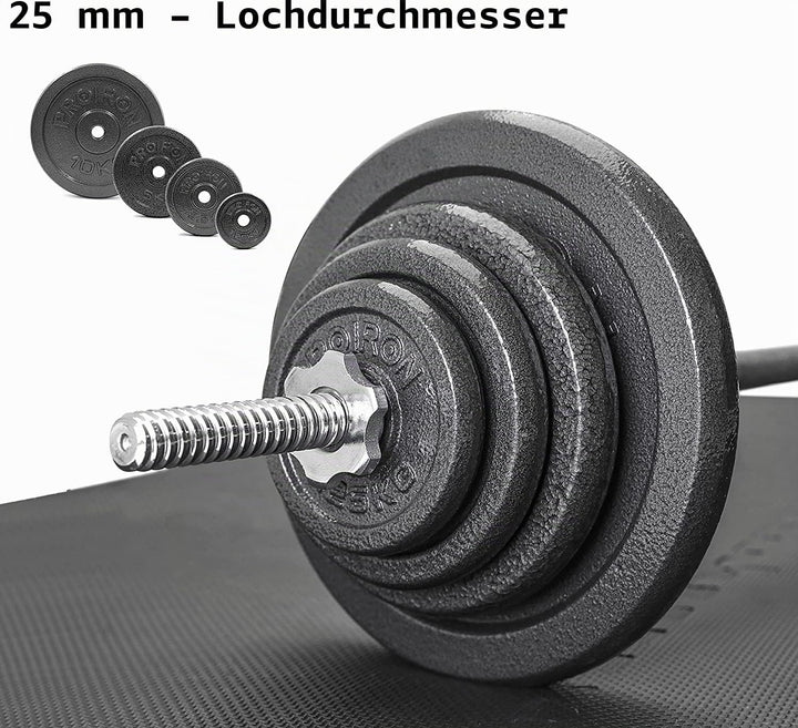 PROIRON Hantelscheiben Set Gusseisen mit 25mm Bohrung, 1,25kg/2,5kg/5kg/10kg Guss Scheiben Gewichte
