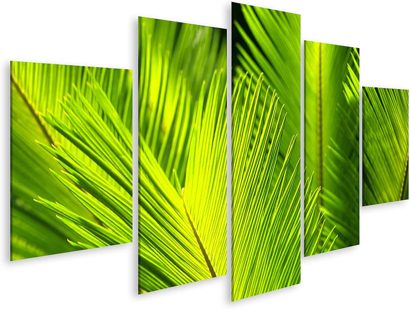 Bild auf Leinwand Grüne Palme Blätter Im Wind Wandbild Poster Kunstdruck Bilder Format: 170x80cm - 5