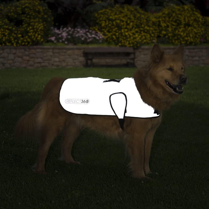 Proviz Sports 100% Reflective High-Vis Waterproof Dog Coat, S