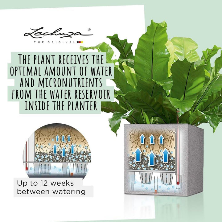 LECHUZA CUBE Glossy Triple scarlet rot highgloss 13672 40x14x13,5 cm Scarlet Rot Highgloss, 40x14x13