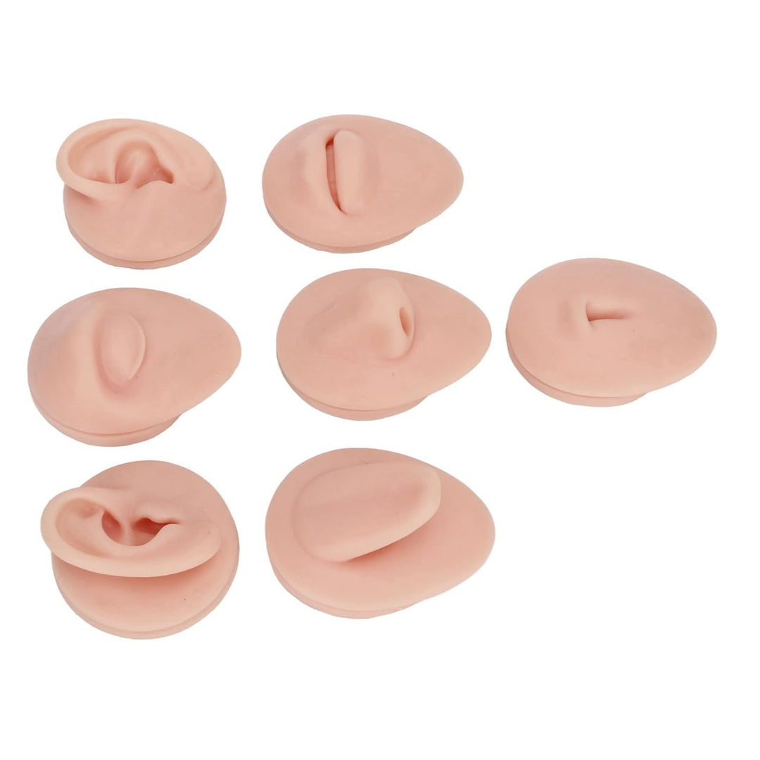 Silikon-Piercing-Körpermodell, Piercing-Körperteil-Modell mit Präsentationsständer, Weiches Silikon-