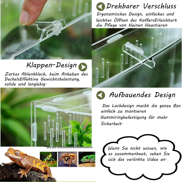 Reptile Fütterungsbox,Acryl Transparent Transport Box,Geeignet für Eidechsen, Spinnen, Hornfrösche u