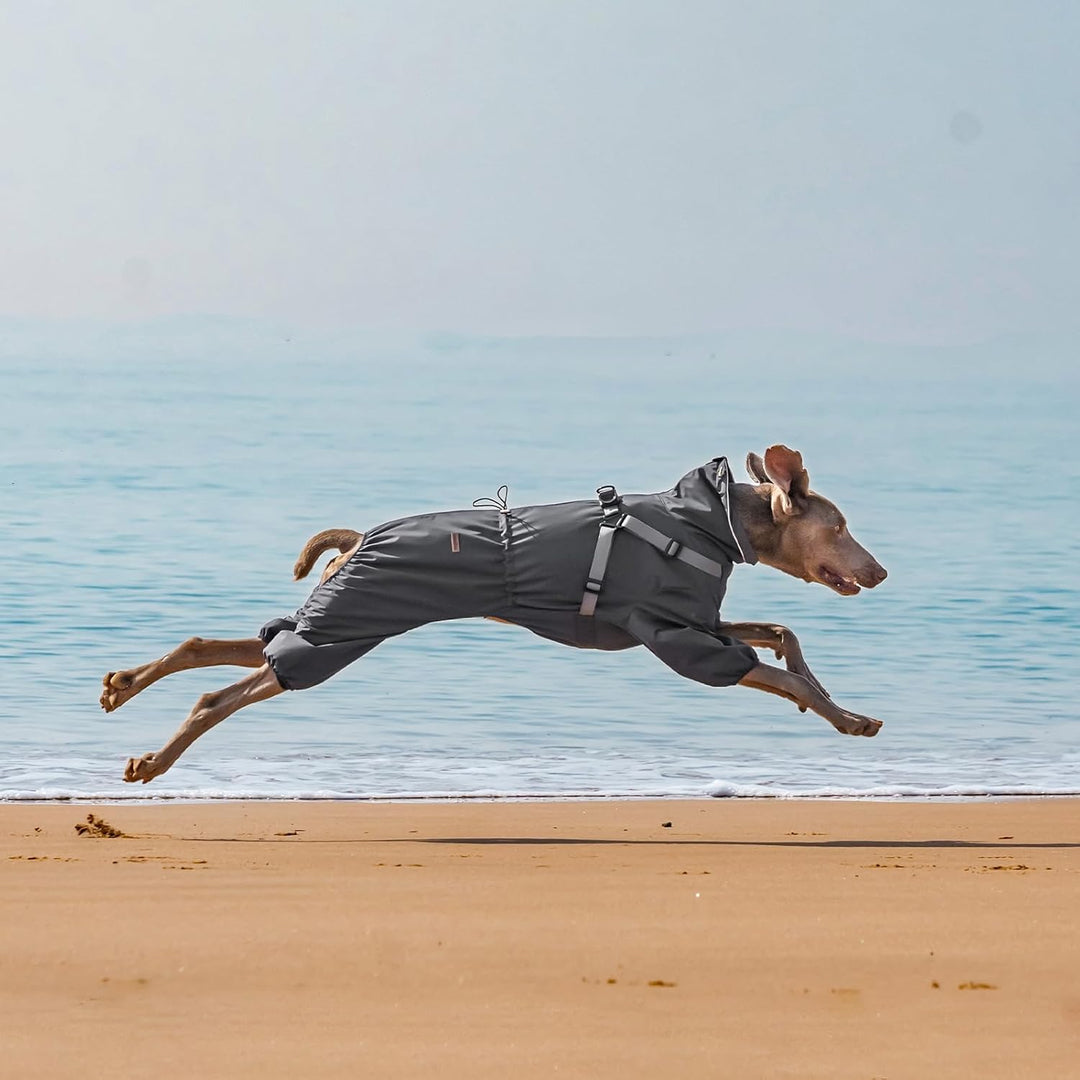 Regenmantel Hund mit Geschirr Wasserdicht für Kleine, Mittlere und Grosse Hunde, Reflektierender Reg