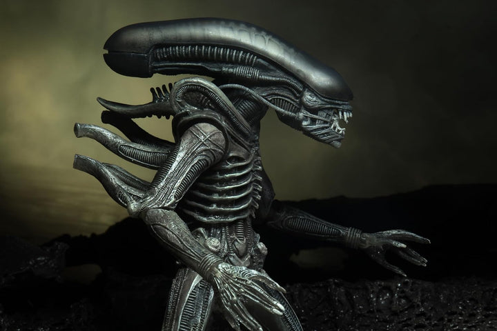 Alien NECA Xenomorph 40th Anniversary, H857800