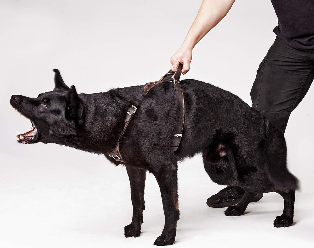 DINGO GEAR Hundegeschirr mit Kobra-Schnalle, Grösse XL bronze XL, bronze XL