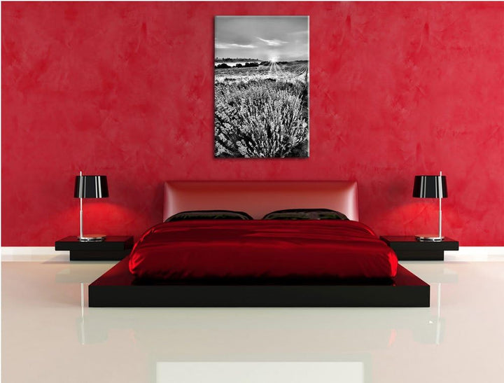 Pixxprint Monocrome, Lavendelfeld in Frankreich, Format: 100x70 auf Leinwand, riesige Bilder fertig
