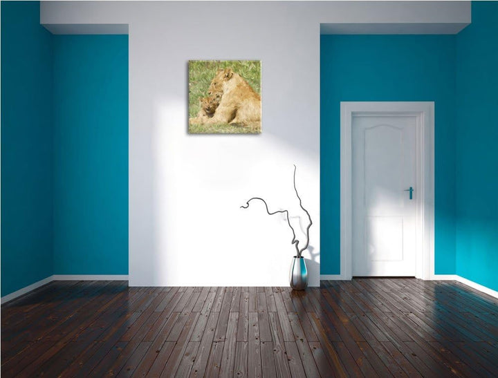 stolzer Löwe in Steppe, Format: 70x70 auf Leinwand, XXL riesige Bilder fertig gerahmt mit Keilrahmen