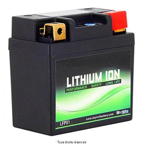 BATTERIE LFP01 SKYRICH LITHIUM