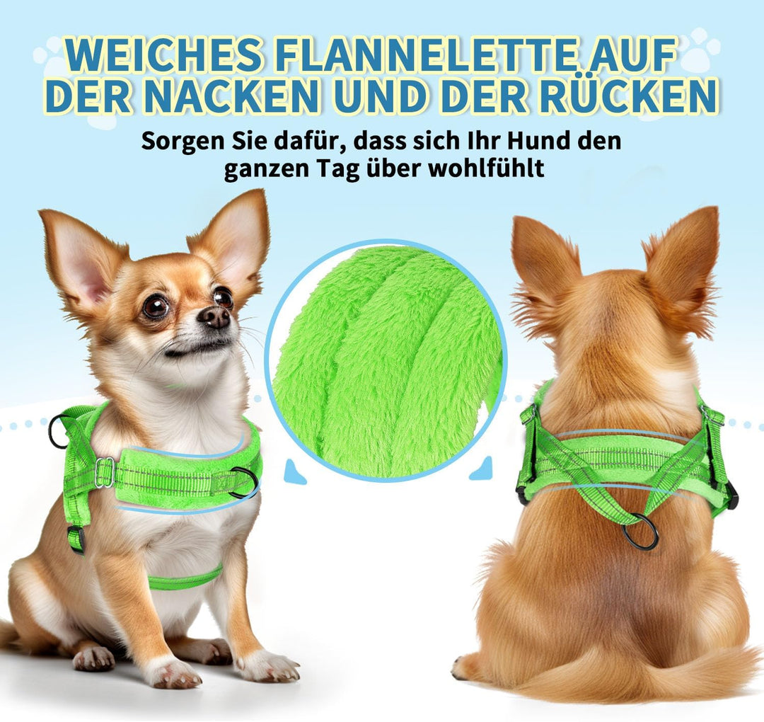 Hundegeschirr mit Leine für mittelgrosse Kleine Hunde, Weich gepolsterter No-Pull Brustgeschirr mit