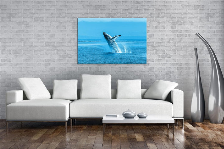 deyoli atemberaubender Buckelwal im Meer Format 80x60 Effekt: Monocrome Blau als Leinwandbild, Motiv