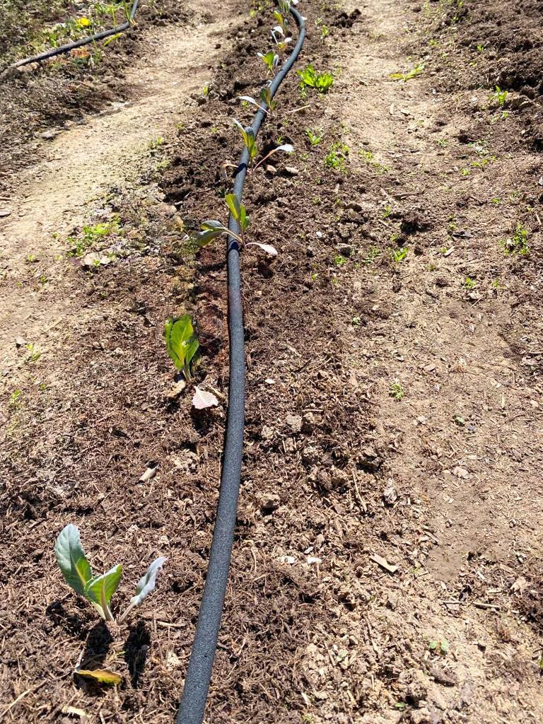 50m CS Perlschlauch Startup mit dem Einsteiger Zubehör-Set Z2.00 für die einfache - Gartenbewässerun