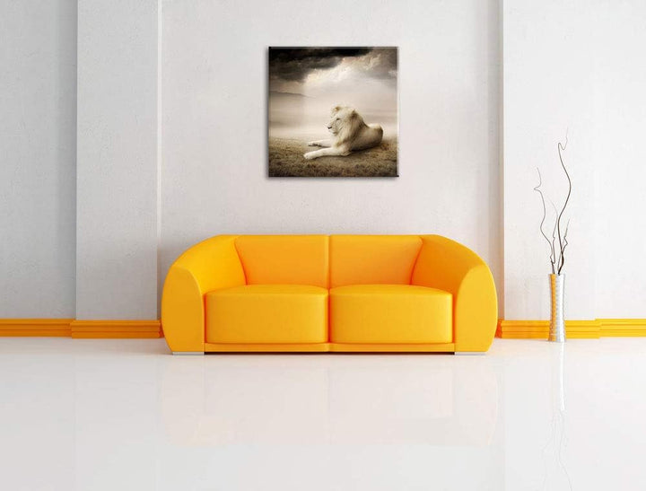 Stolzer weisser Löwenkönig, Format: 70x70 auf Leinwand, XXL riesige Bilder fertig gerahmt mit Keilra