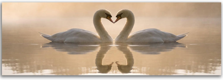 Feeby Bilder Schwäne Tiere 100x40 cm Wohnzimmer Schlafzimmer Büro Flur Küche Wandbilder Modern Bild