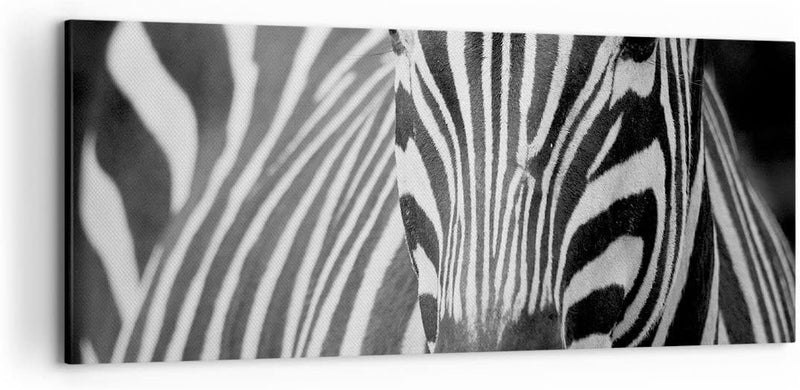 Wandbilder Dekoration Wohnzimmer Tiere Zebra gestreift Panorama Bilder auf Leinwand 120x50cm Leinwan