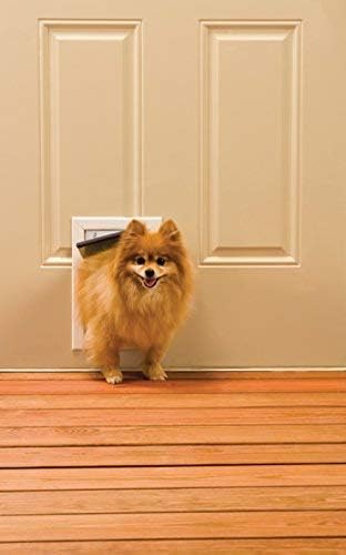 PetSafe Staywell Aluminium-Haustiertür, Mit Magnetverschluss und 2 Verschlussoptionen, Für Haustiere