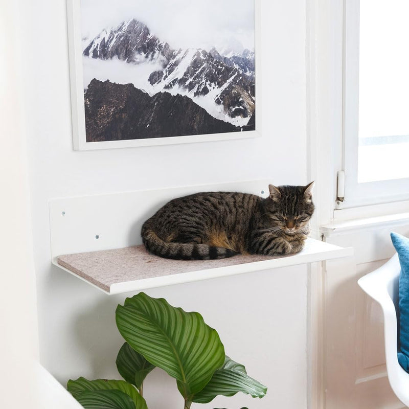 LucyBalu® Wandliege für Katzen | Katzenbett für die Wand | Katzen Wand Liegeplatz | Katzen Wandbett