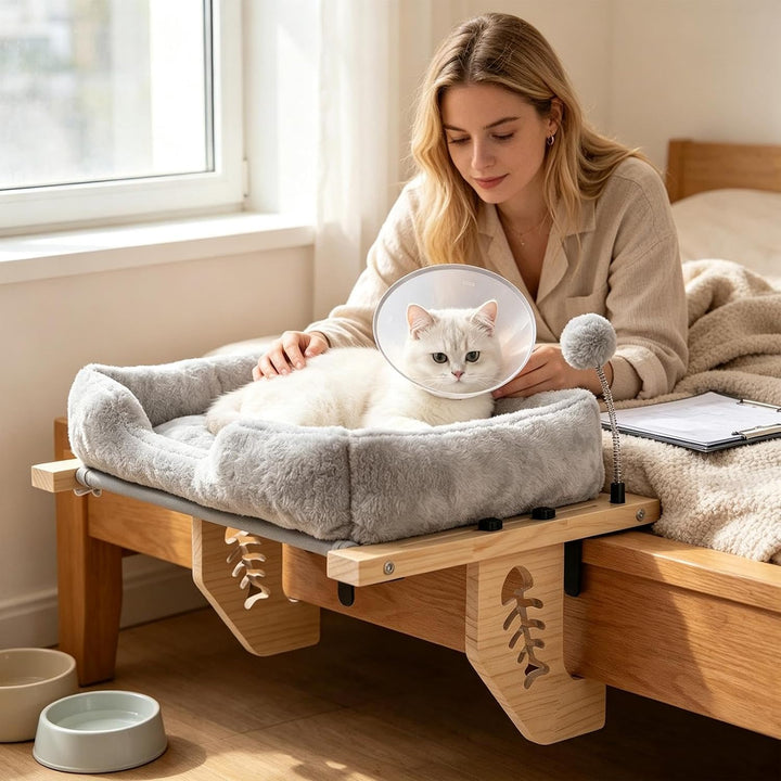 Katzen Fensterbett Ruheplatz Mit Plüschkissen Und Ball | Indoor Katzenbett für die Wohnung Plüschkis