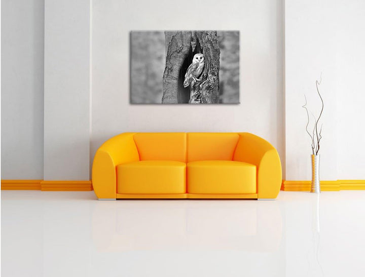 Pixxprint Schleiereule Baumhöhle / 100x70cm Leinwandbild bespannt auf Holzrahmen/Wandbild Kunstdruck