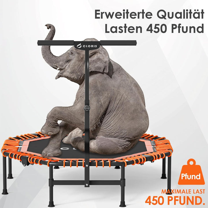 CLORIS 101,6 cm faltbares Fitness-Trampolin – maximale Belastung 220bl, Rebounder mit verstellbarem