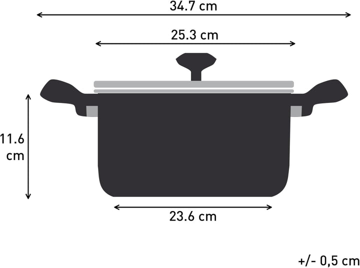 Tefal H85246 Nordica Kochtopf | 24 cm mit Glasdeckel | Doppelgriffe | Edelstahl-Topf | alle Herdarte