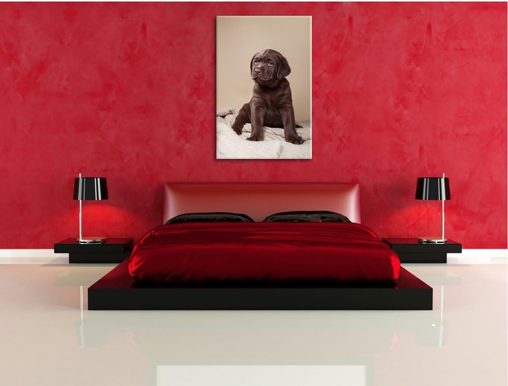 Pixxprint Hundewelpe auf Pullovern als Leinwandbild/Grösse: 100x70 cm/Wandbild/Kunstdruck/fertig bes