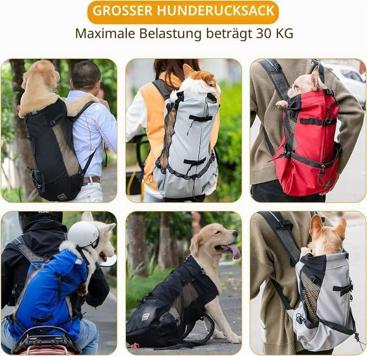 PETCUTE Hundetasche Hundetransporttasche Tragetasche füR Hunde Katzen Wanderrucksack Seite Atmungsak