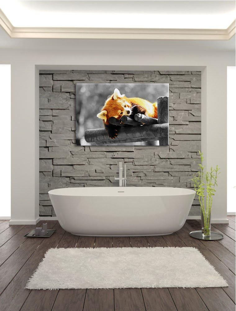 süsser Panda träumt schwarz/weiss Format: 100x70 auf Leinwand, XXL riesige Bilder fertig gerahmt mit