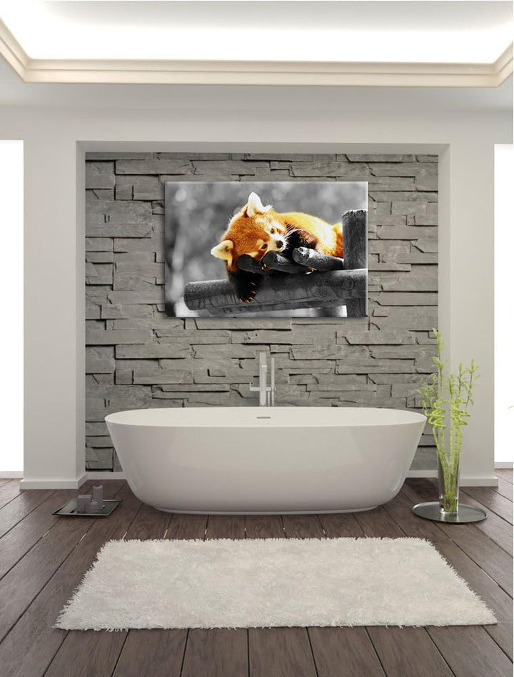 süsser Panda träumt schwarz/weiss Format: 100x70 auf Leinwand, XXL riesige Bilder fertig gerahmt mit