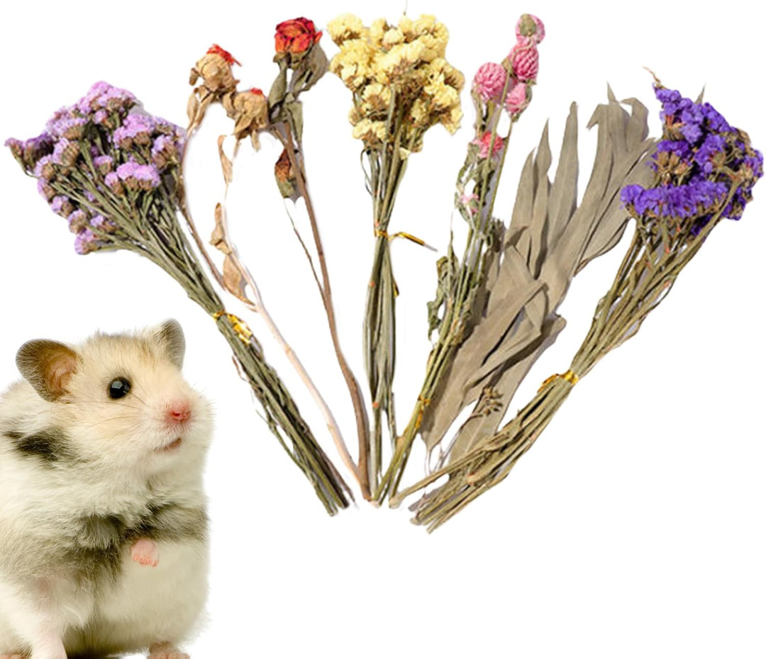 Trockenblumen-Bettwäsche für Hamster, natürliche Hamster-Bettwäsche, Kleintierblumen, Lebensraum-, L
