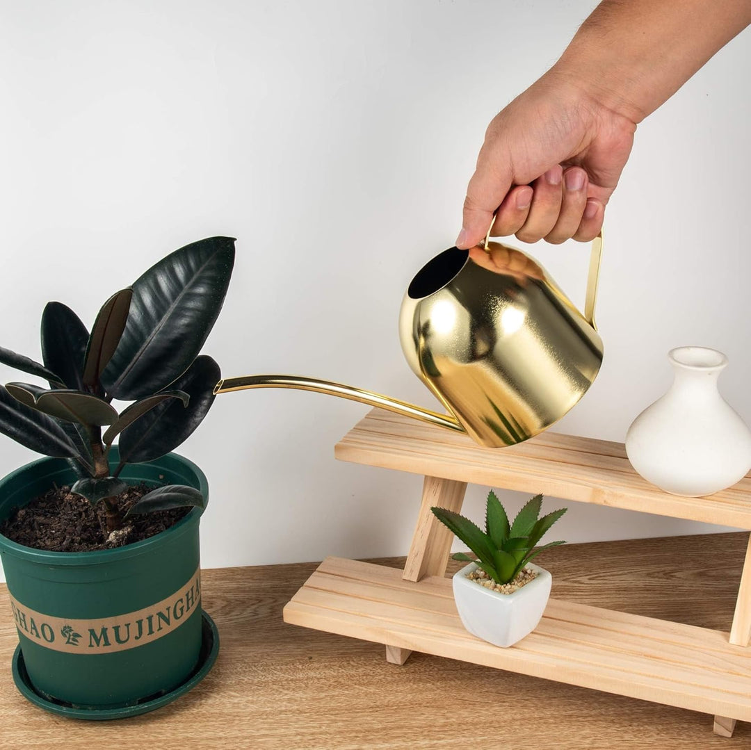 IMEEA 900ML Edelstahl Giesskanne, Zimmergiesskannen Moderner Blumengiesskanne mit Langer Auslauf für