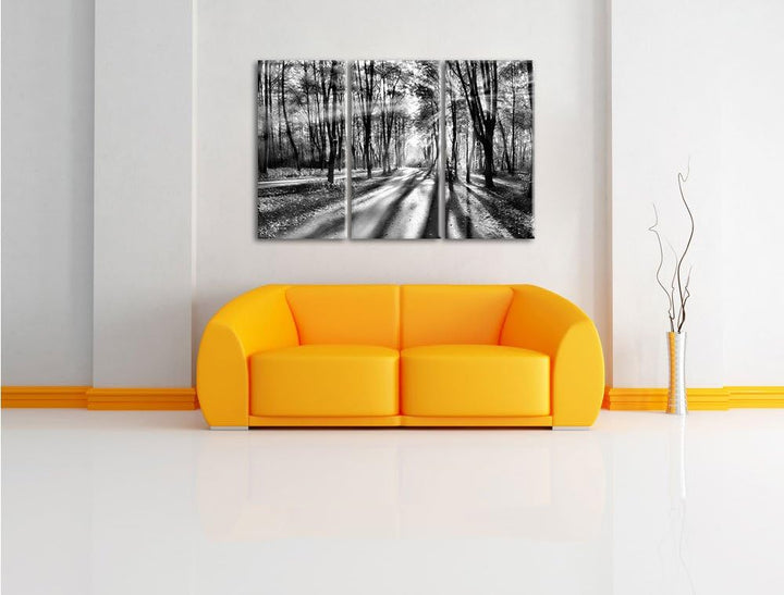 Pixxprint Baumallee im Herbst als Leinwandbild/Grösse: 3 Teilig (120x80 cm) cm/Wandbild/Kunstdruck/f