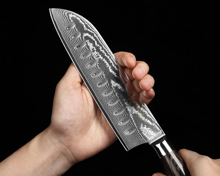Wakoli EDIB Essentials 4er Küchenmesser Set mit 8-20cm Klingen I aus 67 Lagen Damaststahl I enthält
