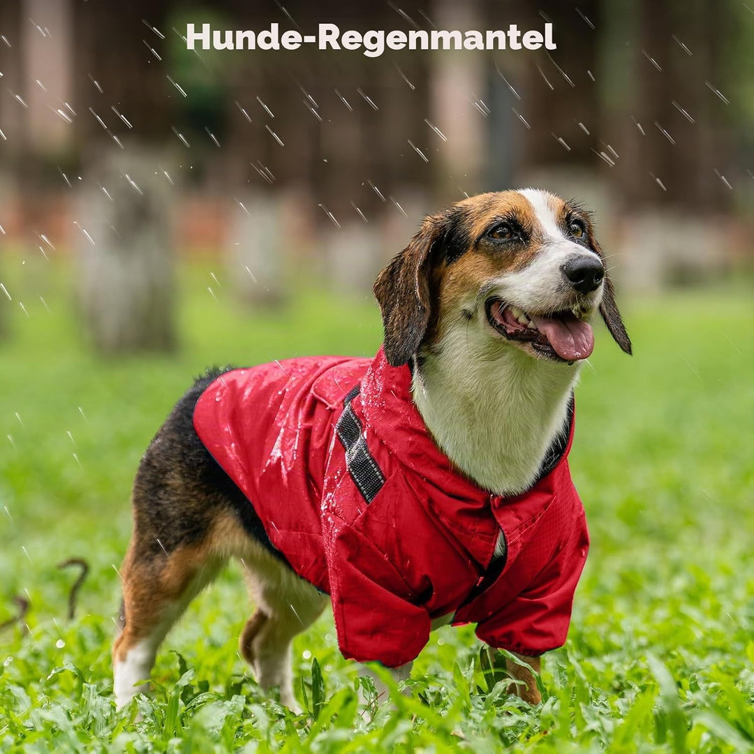 JoyDaog Regenmantel für extra kleine Hunde mit Kapuze, wasserdichte Outdoor-Regenjacke für Hunde, We