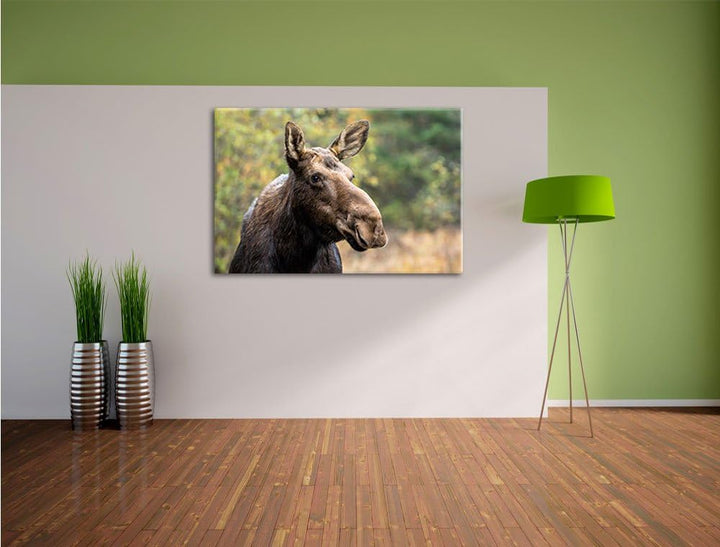 Pixxprint Elch im Wald, Format: 100x70 auf Leinwand, XXL riesige Bilder fertig gerahmt mit Keilrahme