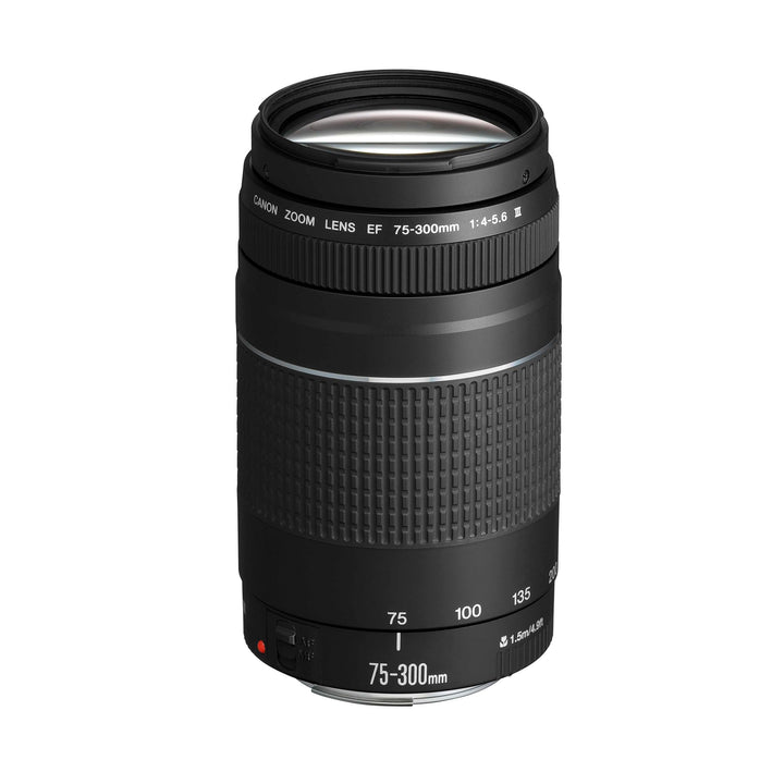 Canon EF 75-300mm F4.0-5.6 III Zoomobjektiv (58mm Filtergewinde) schwarz Telezoomobjektiv Single, Te