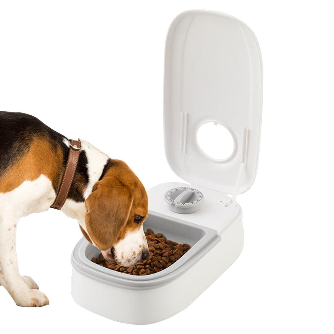 Automatischer Futterautomat für Haustiere | Hundefutterspender | Automatischer Futternapf, Futternap