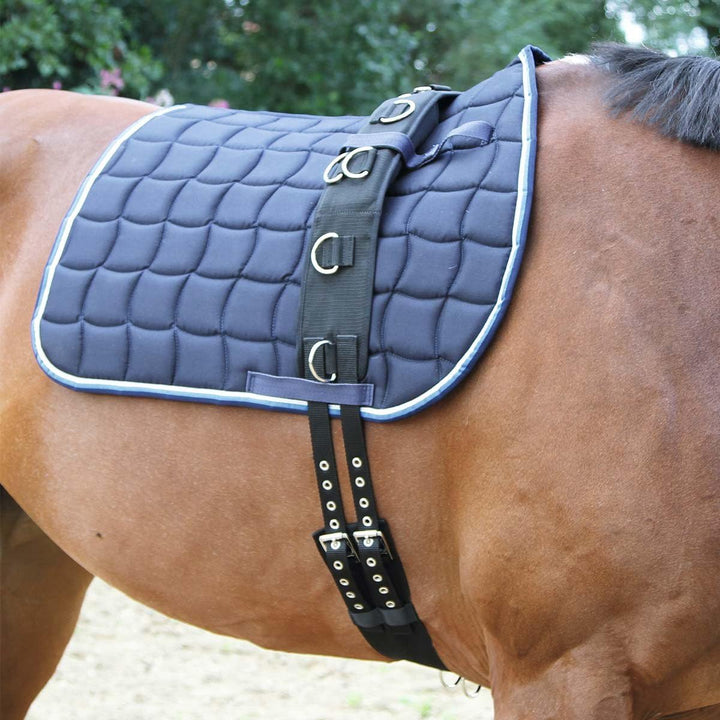 Kerbl Longiergurt, breit, 9 Ringe mit verstellbarem Bauchgurt Pony (160-200 cm Umfang) Farbe: schwar