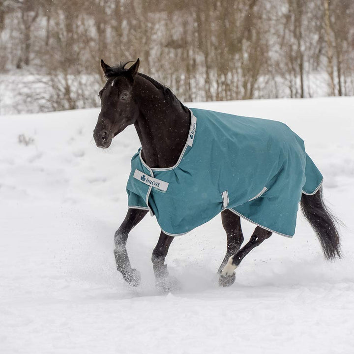 Bucas Atlantic Turnout Pferdedecke 200g green 145 cm, green 145 cm