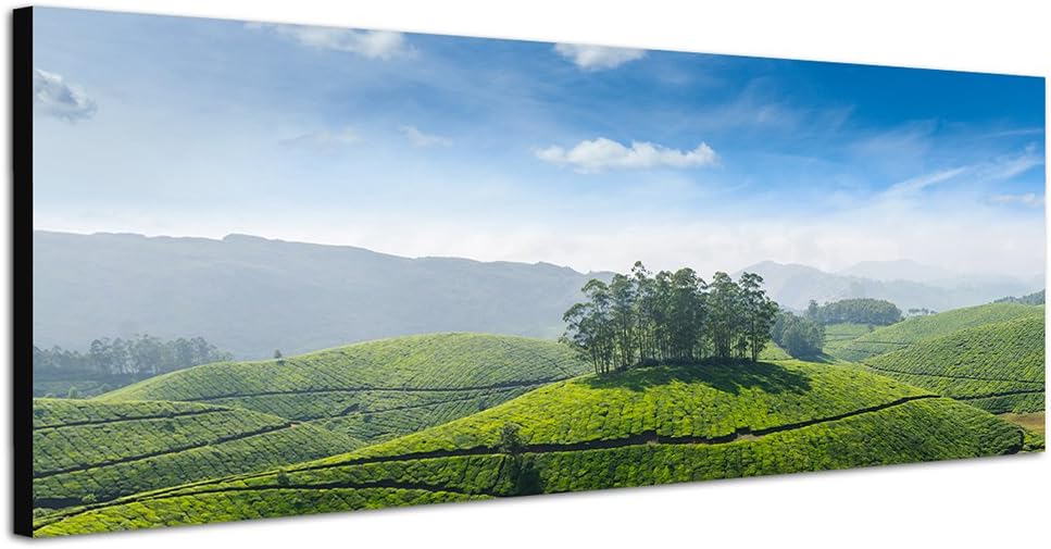 Paul Sinus Art Panoramabild auf Leinwand und Keilrahmen 150x50cm Indien Teeplantagen Landschaft