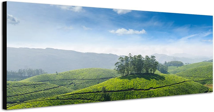 Paul Sinus Art Panoramabild auf Leinwand und Keilrahmen 150x50cm Indien Teeplantagen Landschaft