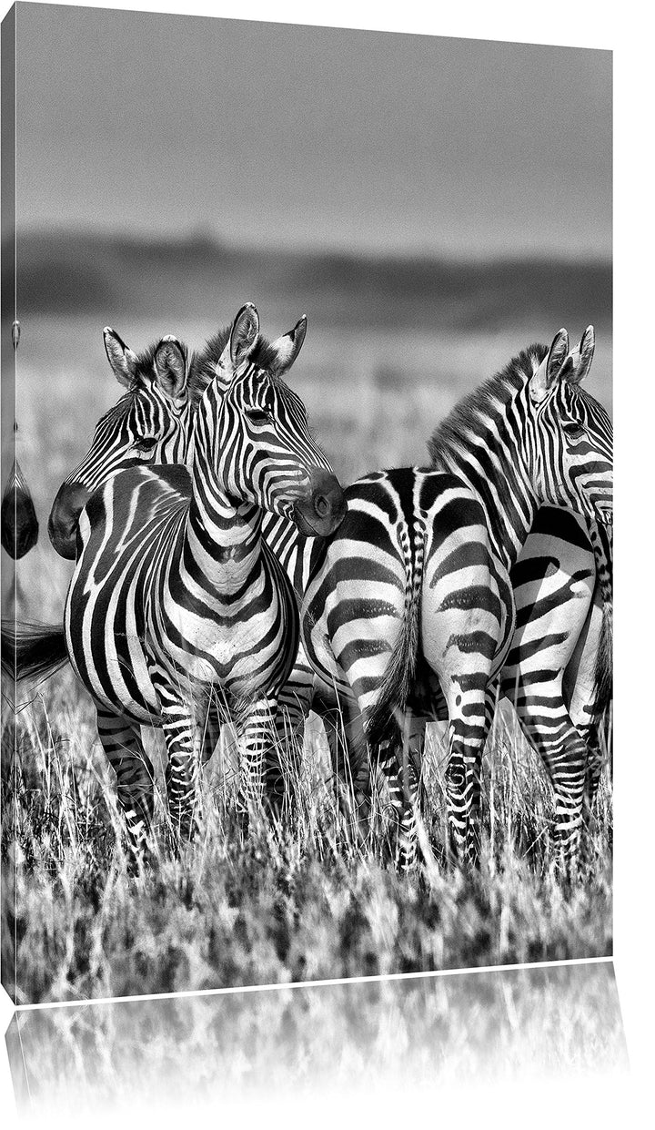 Pixxprint Monocrome, kleine Zebrahorde, Format: 100x70 auf Leinwand, 100x70