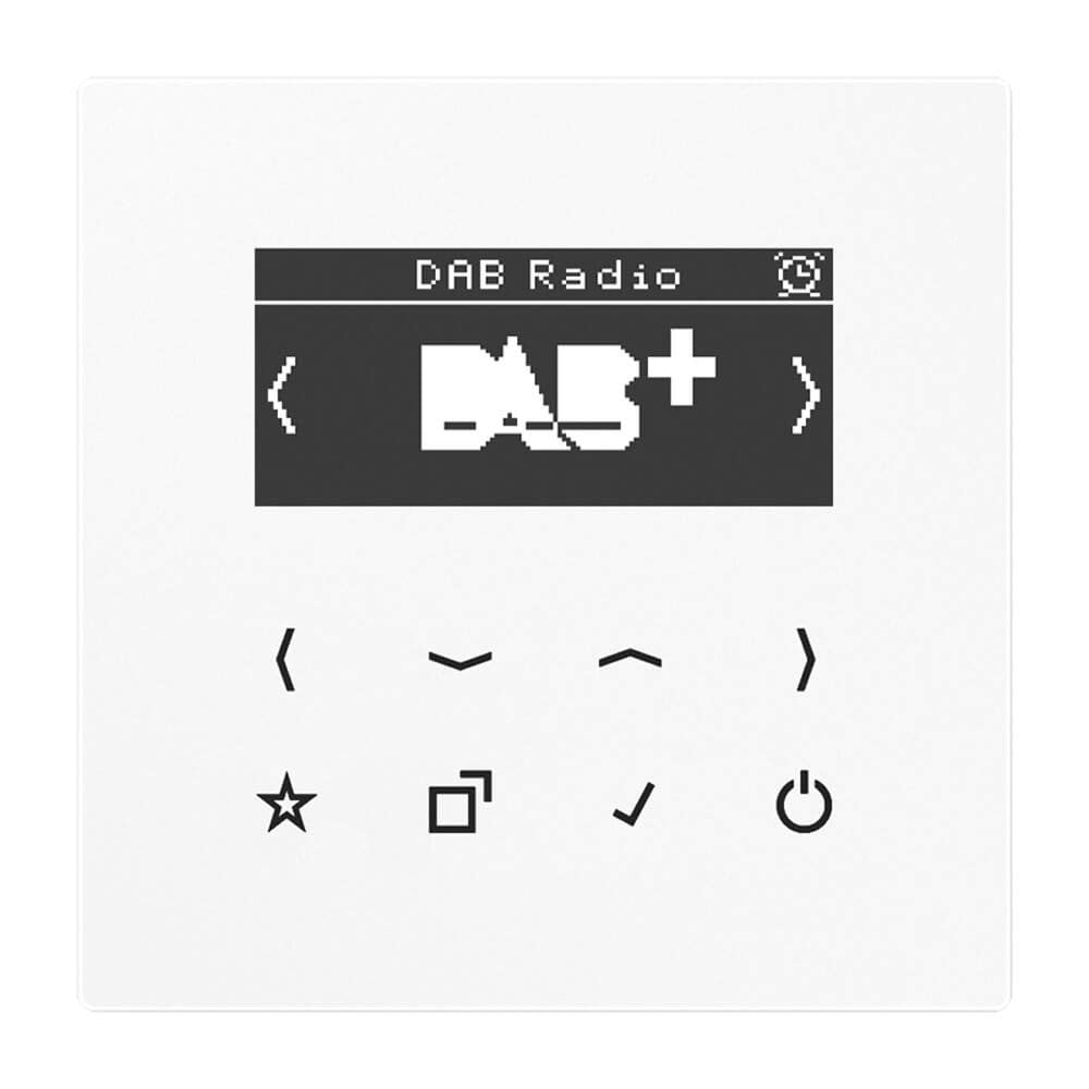 Smart Radio Dab + Serie LS weiss Alpino Alpinweiss (White), Alpinweiss (White)